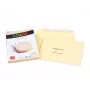 Busta ELCO Color C5 (162 x 229 mm), senza finestra, autoadesiva, 100 g/m², Camoscio (crema), 25 pz. (74618.41)