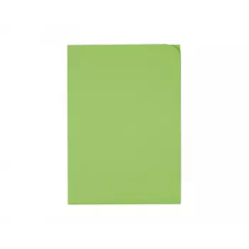ELCO Ordo Discreta cartella organizzativa A4, 220 x 310 mm, 120 g/m², verde intenso, 100 pz. (29466.62)