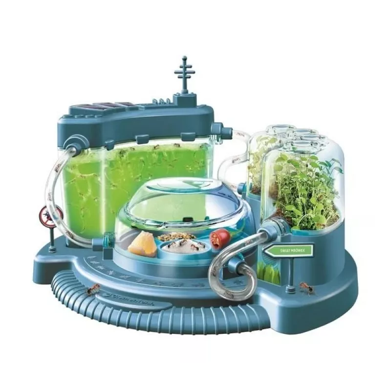 Clementoni Science & Play Formicaio - Kit educativo per bambini 7+