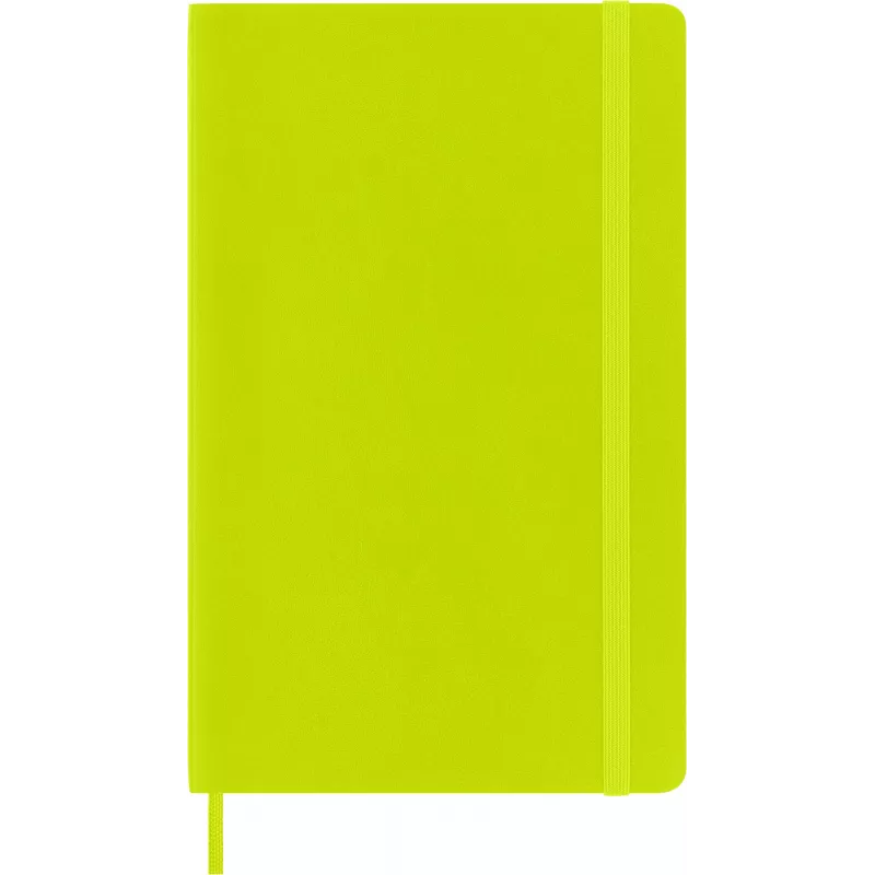 Moleskine Classic Quaderno Large a righe Myrtle Green Copertina flessibile A5