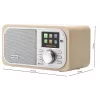 GOGEN IR237BTDAB radio internet con DAB+, FM, Bluetooth, Wi-Fi e display LCD a colori da 2,4 pollici