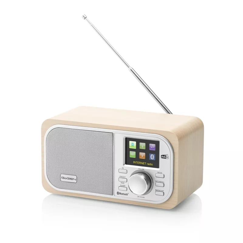 GOGEN IR237BTDAB radio internet con DAB+, FM, Bluetooth, Wi-Fi e display LCD a colori da 2,4 pollici