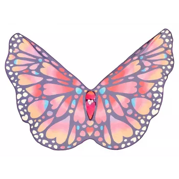 Souza! Ali costume farfalla Papillon per bambino