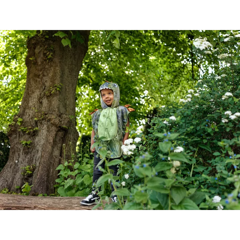 Souza! Mantello costume dinosauro T-Rex per 2 anni, verde
