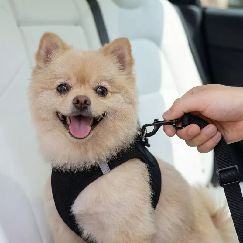 SPIGEN PS100 supporto universale per cintura di sicurezza per animali nero