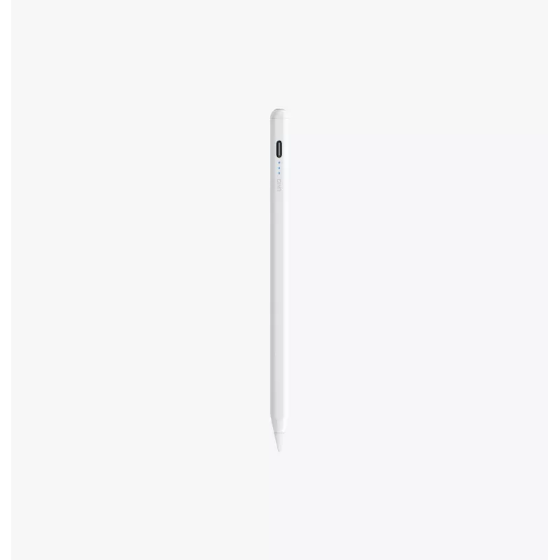 UNIQ Pixo Lite 2.0 Stylus magnetico per iPad Graphite Black