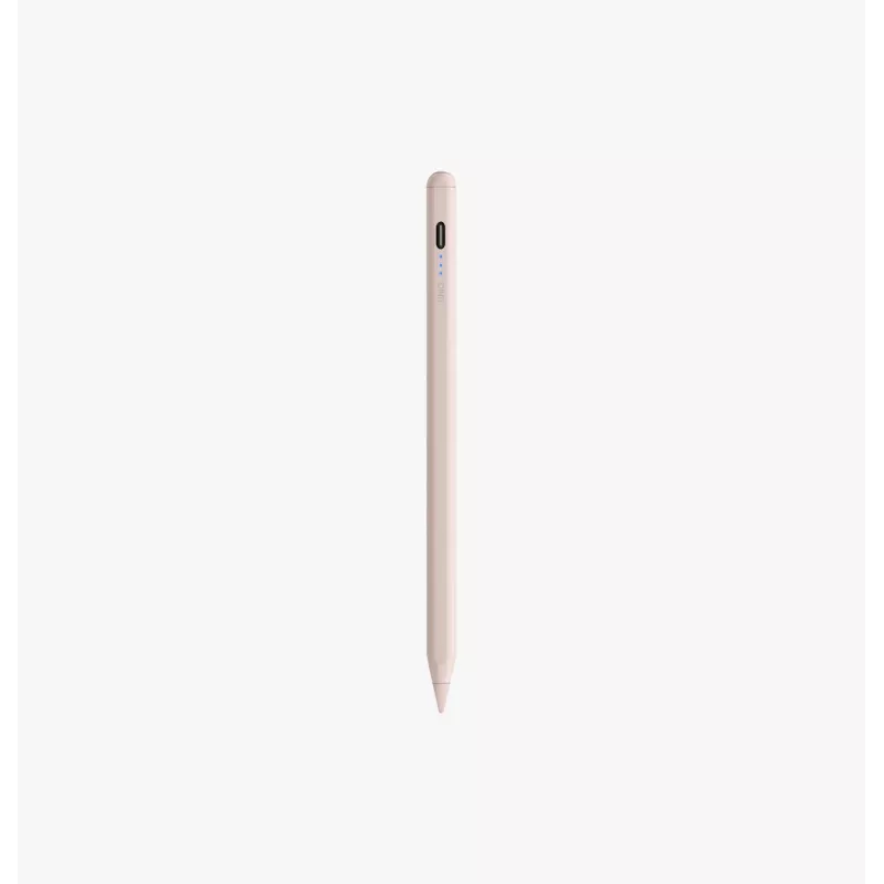 UNIQ Pixo Lite 2.0 Stylus magnetico per iPad Graphite Black