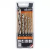 ALPEN-MAYKESTAG Alpen PTM 5 Profi Holz set punte per legno 4-5-6-8-10, da 5 pezzi, 4-10 mm