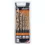 ALPEN-MAYKESTAG Alpen PTM 5 Profi Holz set punte per legno 4-5-6-8-10, da 5 pezzi, 4-10 mm