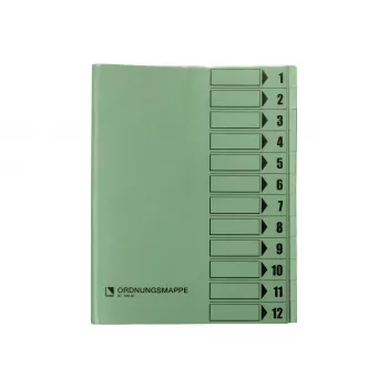 Bene cartella organizer 12 scomparti verde A4