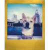 Polaroid Go / Go Gen 2 pellicola istantanea - 16 scatti - cornice dorata