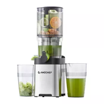 AMZCHEF CE-ZM1902B-SV estrattore di succo a freddo