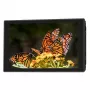 Portkeys HD7T Monitor on-camera IPS 7