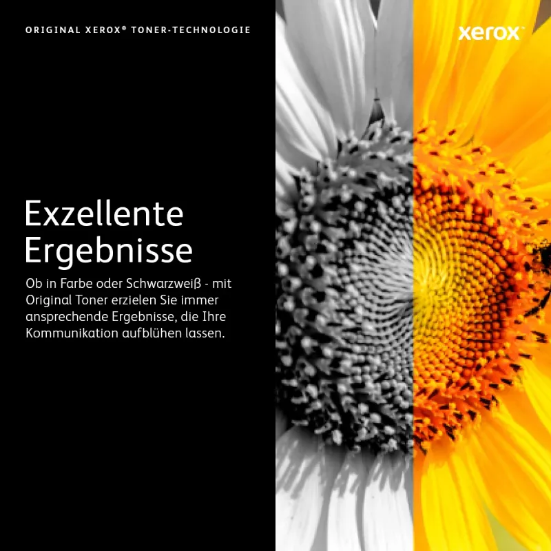 Xerox Phaser 7100 cartuccia toner originale giallo