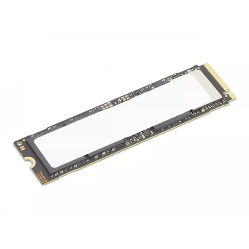SSD Lenovo TS 2TB Performance PCIe Gen5 NVMe Opal2 M.2 2280