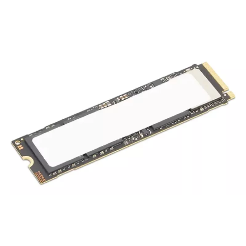 SSD Lenovo TS 2TB Performance PCIe Gen5 NVMe Opal2 M.2 2280