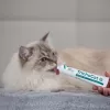 VETEXPERT TrichoCat pasta anti-hairball per gatti 50 g