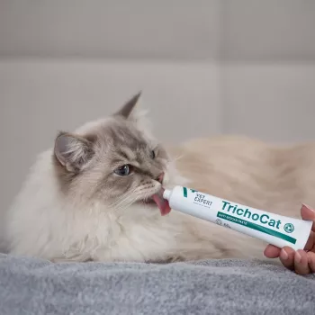 VETEXPERT TrichoCat pasta anti-hairball per gatti 50 g