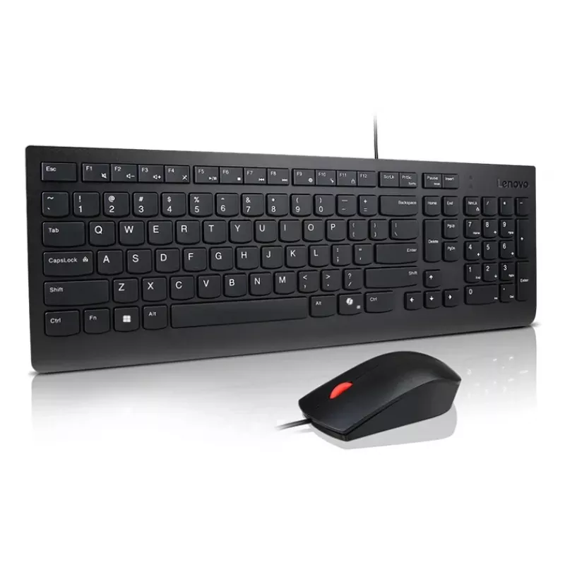 Lenovo Essential Set Tastiera e Mouse Cablati Nordic (Finlandese/Svedese) Copilot