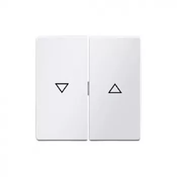 Berker 16256089 tasto con simbolo freccia, bianco polare opaco