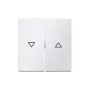 Berker 16256089 tasto con simbolo freccia, bianco polare opaco
