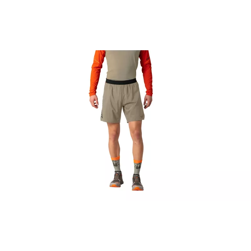 SALEWA Dynafit Alpine Pro 2/1 Pantaloncini - Fallen Rock - XL