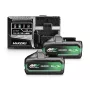 Hikoki Batteria MultiVolt 36V 2,5 Ah (confezione da 2) con caricabatterie rapido UC18YSL3