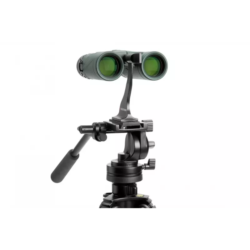Celestron Nature DX 8x32 binocolo BaK-4 nero, verde