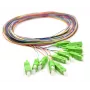 12x Pigtail SC/APC monomodale G.657.A2 2m connettori dorati