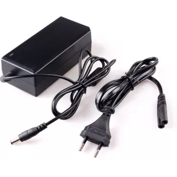 DELTA alimentatore switching 12V 5A 60W