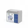 VOLT POLSKA batteria LiFePO4 12V 60Ah 60A