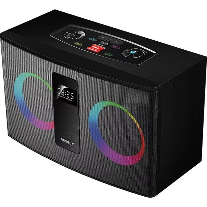 Ferguson Regent Power Audio 300BT RGB FM Diffusore Bluetooth portatile