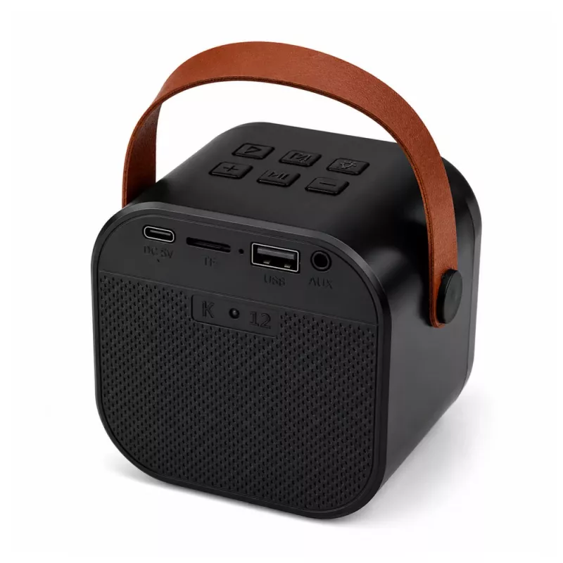 LEAN Set karaoke altoparlante Bluetooth due microfoni luci LED nero