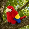 LEAN TOYS Pappagallo di peluche Ara uccello esotico mascotte peluche rosso 24 cm