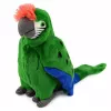 LEAN TOYS Pappagallo di peluche Ara uccello esotico mascotte peluche verde 24 cm