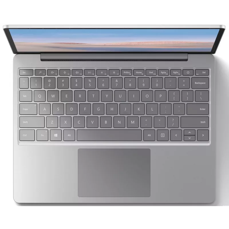 Microsoft Surface Go Intel Core i5-1035G4 8GB RAM 256GB SSD 12,3 pollici touchscreen Windows 10 Pro platino