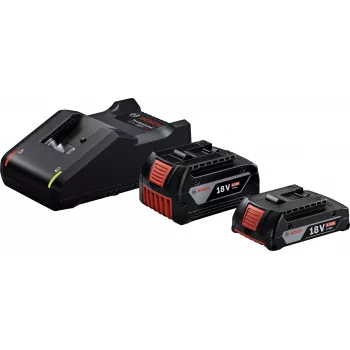 Starter-Set 18V (GBA 18V 4.0/2.0Ah + GAL 18V-40 Professional) (nero, 2 batterie ricaricabili Li-Ion, AMPShare Alliance)