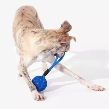 Cheerble Wicked Ball Air Rope giocattolo interattivo per cani