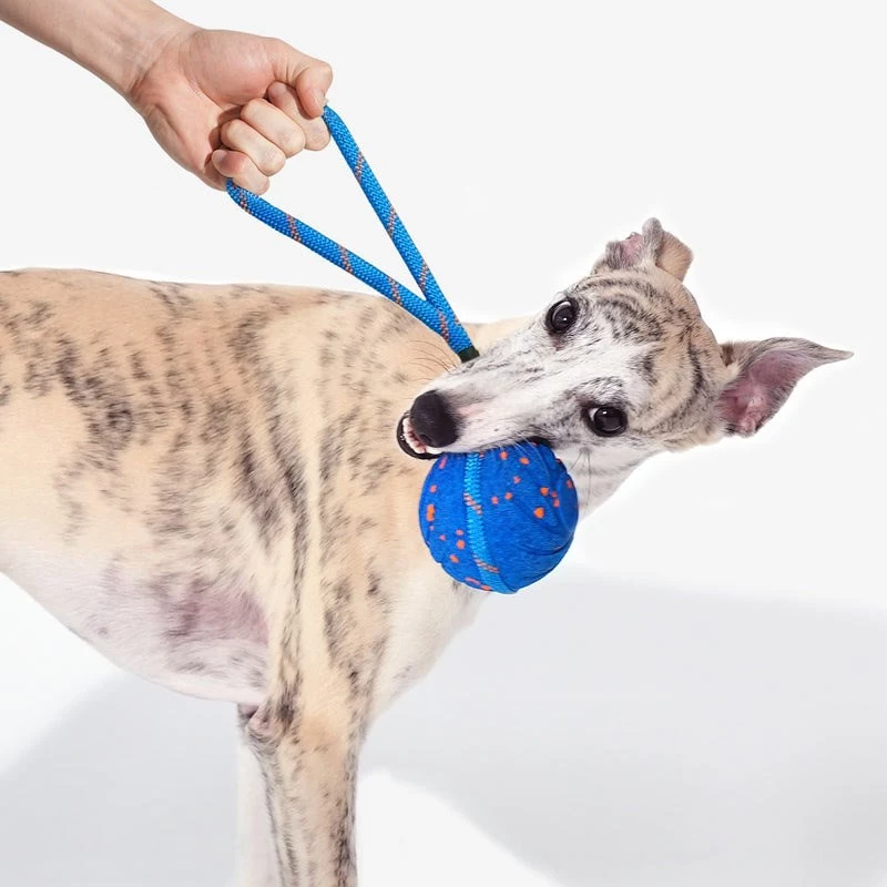 Cheerble Wicked Ball Air Rope giocattolo per cani, Royal Blue