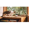 PETLIBRO Scout Smart AI telecamera