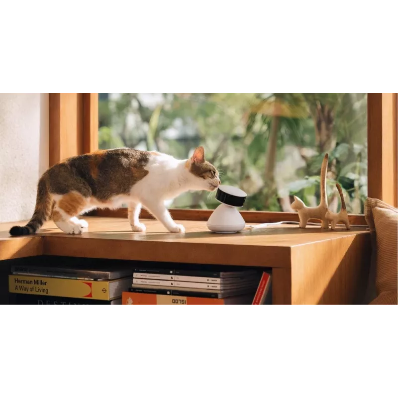 PETLIBRO Scout Smart AI telecamera