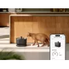 Petlibro Dockstream fontanella per acqua con app, nero