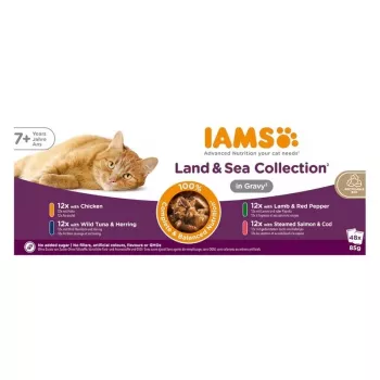 IAMS Delights Senior Land & Sea Collection in salsa 12x85g