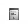 Angelbird AV PRO SE CFexpress tipo B 256GB Scheda di memoria