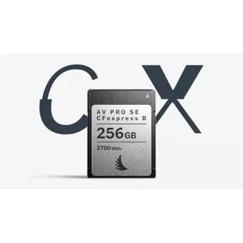 Angelbird AV PRO SE CFexpress Type B 256GB Scheda di memoria