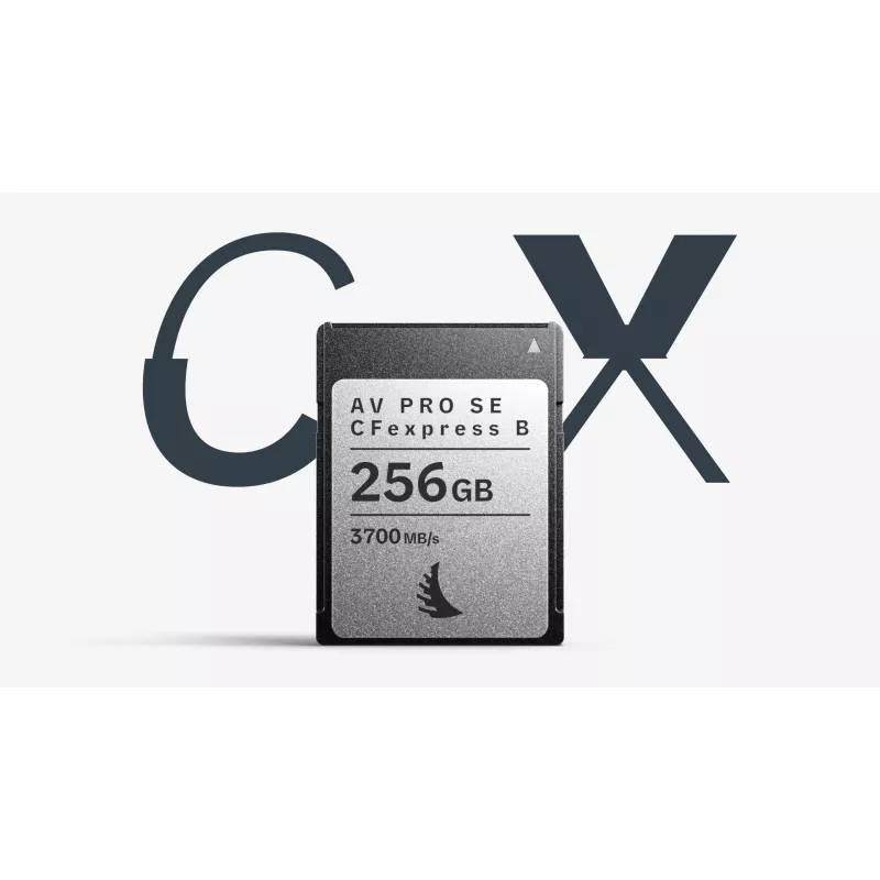 Angelbird AV PRO SE CFexpress tipo B 256GB Scheda di memoria