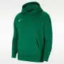 Nike Park 20 felpa con cappuccio in pile pullover verde pino CW6896-302
