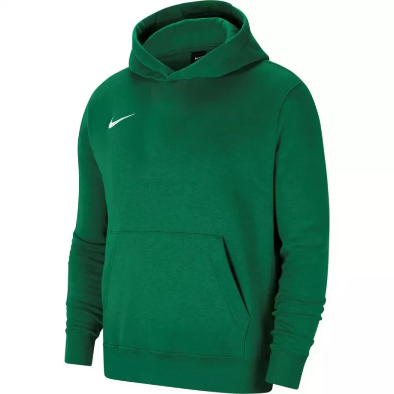 Nike Park 20 felpa con cappuccio in pile pullover verde pino CW6896-302