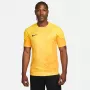 Nike Dri-FIT ADV Gardien IV maglia da portiere uomo Opti Yellow/nero M
