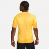 Nike Dri-FIT ADV Gardien IV maglia da portiere uomo Opti Yellow/nero M
